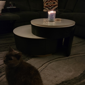 Povison Review Photos