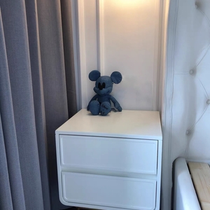 Povison Review Photos