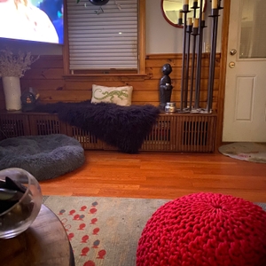 Povison Review Photos