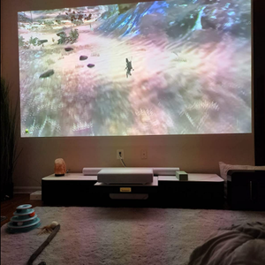 Povison Review Photos