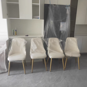 Povison Review Photos