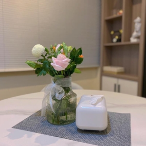 Povison Review Photos