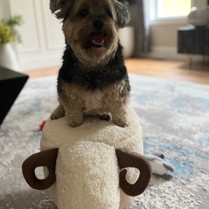 Povison Review Photos