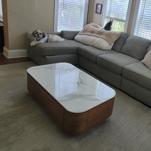 Povison Review Photos