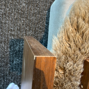 Povison Review Photos