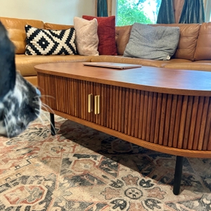 Povison Review Photos