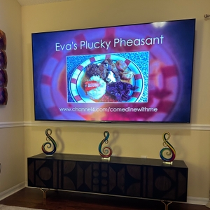 Povison Review Photos