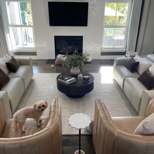 Povison Review Photos