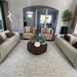 Povison Review Photos