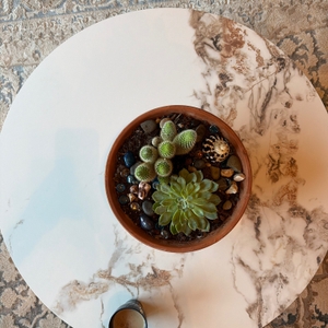 Povison Review Photos