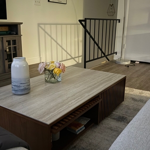 Povison Review Photos