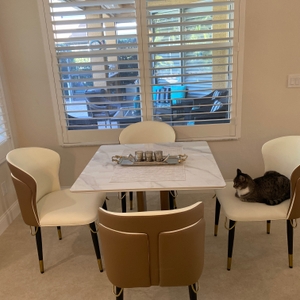 Povison Review Photos