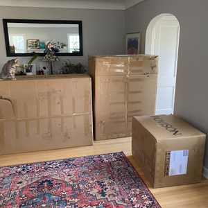 Povison Review Photos