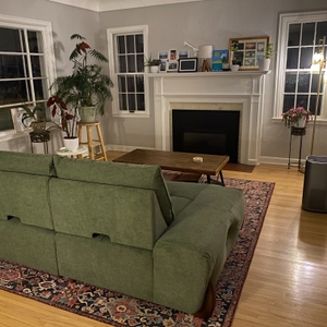 Povison Review Photos