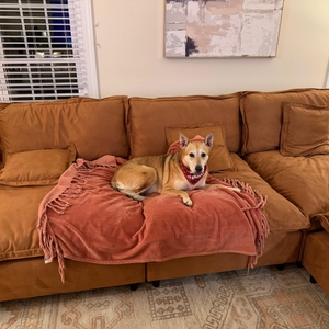 Povison Review Photos