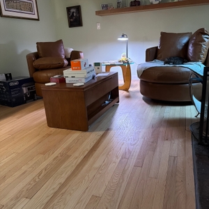 Povison Review Photos