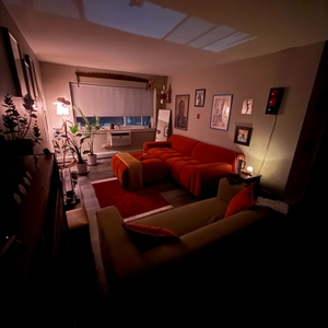 Povison Review Photos