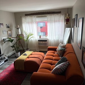 Povison Review Photos