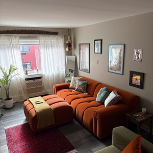 Povison Review Photos