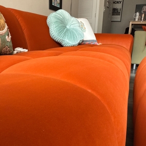 Povison Review Photos