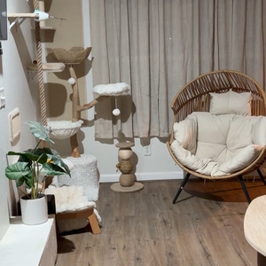 Povison Review Photos