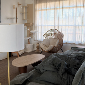 Povison Review Photos