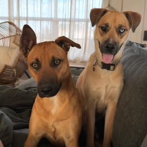 Povison Review Photos