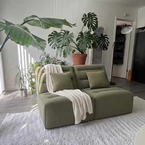 Povison Review Photos