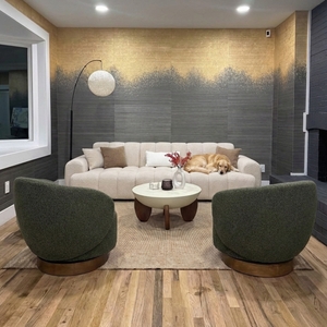 Povison Review Photos