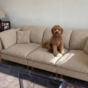 Povison Review Photos