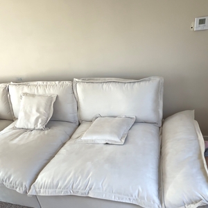 Povison Review Photos