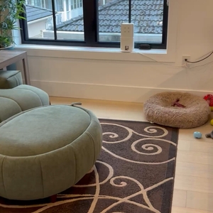 Povison Review Photos