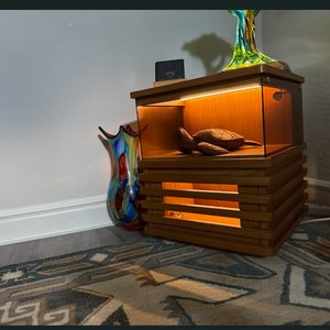 Povison Review Photos