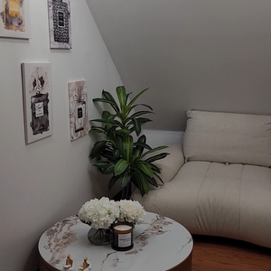 Povison Review Photos