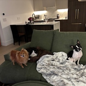 Povison Review Photos