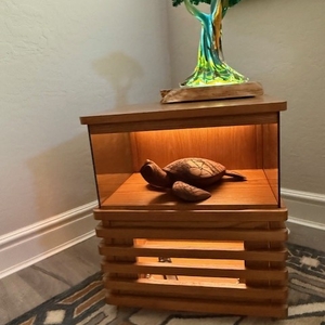 Povison Review Photos