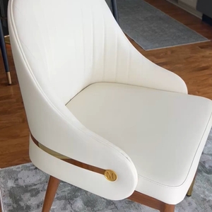 Povison Review Photos