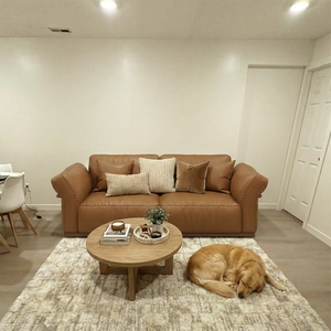 Povison Review Photos