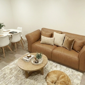 Povison Review Photos