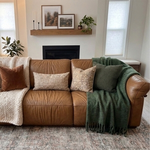 Povison Review Photos