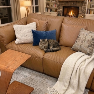 Povison Review Photos