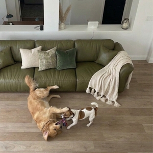 Povison Review Photos