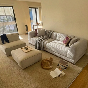 Povison Review Photos