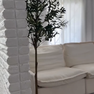 Povison Review Photos