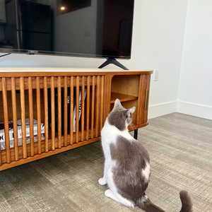 Povison Review Photos