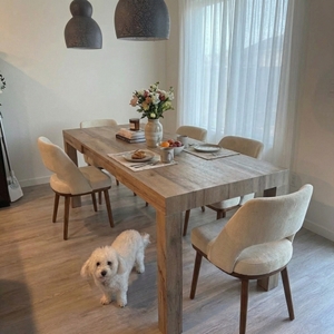 Povison Review Photos