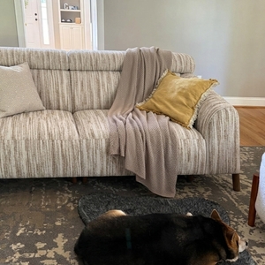 Povison Review Photos