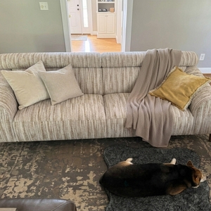 Povison Review Photos