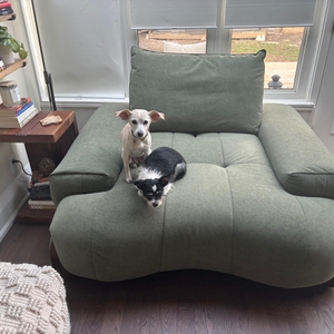 Povison Review Photos