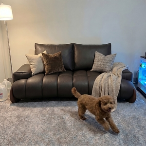 Povison Review Photos